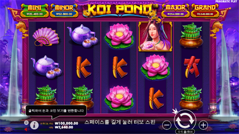 피쉬 아이